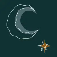 moon outline - design