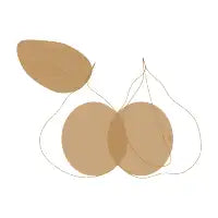pears and circles - design