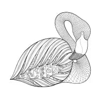 Flamingo line work - design