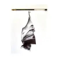 Flying Fox - design