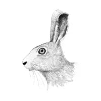Hare portrait - design