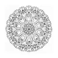 Mandala - design