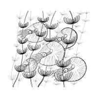 Nautilus collection - design