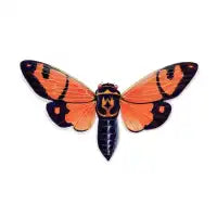 Orange Cicada - design