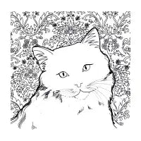 Ragdoll Cat - design