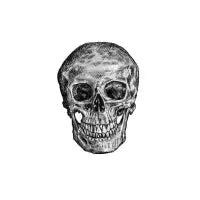 Skull - design