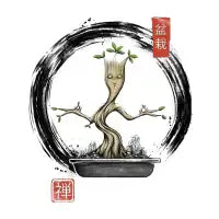 Bonsai Meditations - design
