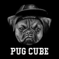 Pug Cube - design