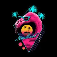 Rad Flamingo - design