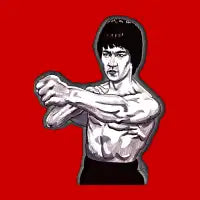 BRUCE LEE - design