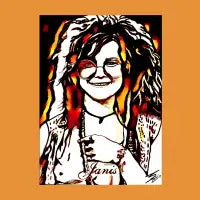 JANIS - design