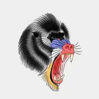 mandril cool - design