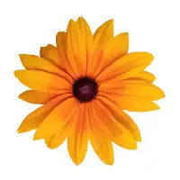 Wildflower - design
