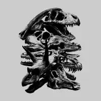 Jurassic Fun - design