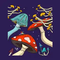 Gnome-one Around - design