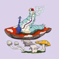 Hookah-pillar - design