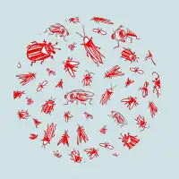 Infested - design