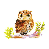 Scruffy Night Owl - design