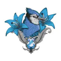 The Blue Jay - design