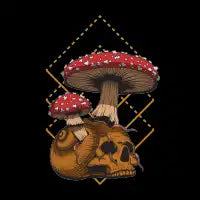 Snail Skull - design