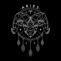 ARIES - design