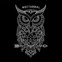 NOCTURNAL - design
