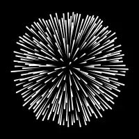 Dandelion - design