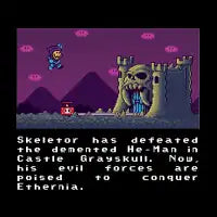 Super Skeletor World - design
