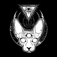 All seeing sphynx T-Shirt - design