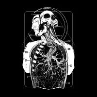 Atypical Anatomy - design
