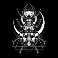 Beetle Gaze - design