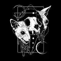 Cosmic Sphynx - design