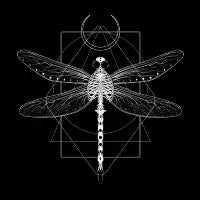 Magical cosmic dragonfly - design