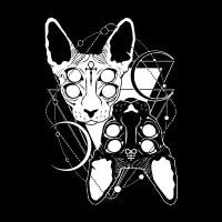 Twin sphynx T-Shirt - design