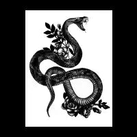 Cobra - design