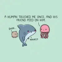 Jellyfish anecdote - design