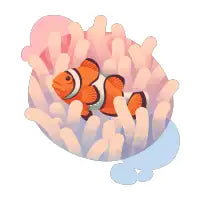 Clownfish - design