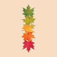 Falling Maple - design