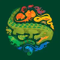Reptile Rainbow - design