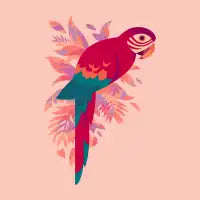 Scarlet Macaw - design