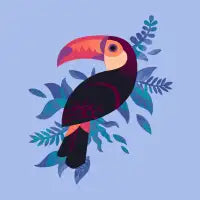 Toco Toucan - design