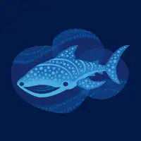 Whale Shark - design