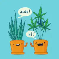 Greetings! - design