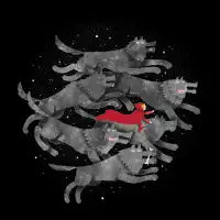 Run with the Pack - design