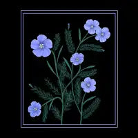 Blue Flax - design