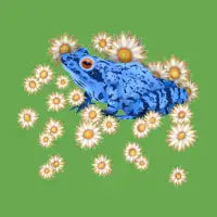 Blue Frog - design