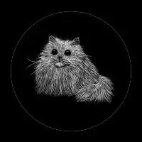 Fluffy Cat - design
