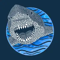Friendly Shark - design
