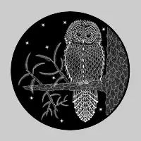 Night Owl - design
