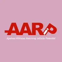 AARiP - fallen - design